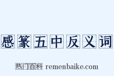 感篆五中反义词是什么意思的图片